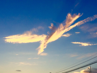 【東京風景】 空にゴッドフェニックス現る！