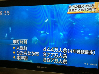 NHKニュース(水戸)見てたらこんなのが  大洗町圧倒的だなあ…