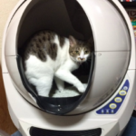 猫用の全自動トイレを高かったけど、奮発して購入したらさっそく使ってくれた(*´ω｀*)  なんかサイヤ人の宇宙ポッドみたい（笑）