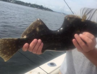 米ニュージャージー州のラリタン湾で、身体をガッツリ食われても治癒して生き延びた魚が釣り上げられる