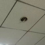 同僚から送られてきた写真。新型の監視カメ……ラ！？