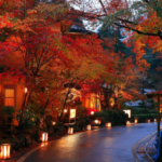 イルミネーションもいいけど、 冬の京都も最高