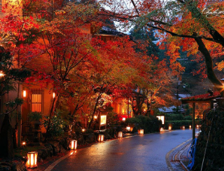 イルミネーションもいいけど、 冬の京都も最高