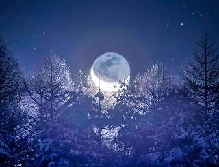 地球照を抱いた月が昇ると、月光に照らされた山の木々が、氷のお城のように輝いていました。