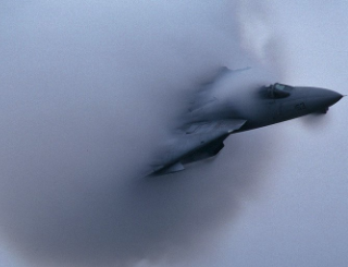 一枚目:積乱雲を抜け出すF-14A 二枚目:アホウドリのヒナ