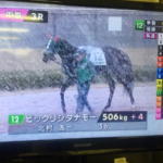 中山競馬場に到着してグリーンチャンネル見たら、中京すごい雪(ﾟωﾟ)