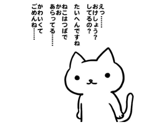 クソ化粧信者向けの煽り力の低い画像も用意しました