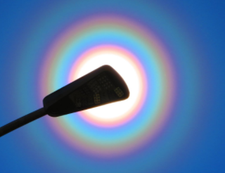 めっちゃ花粉光環！！ スギ花粉とか球形に近い花粉によって光が回折して発生する大気光学現象．