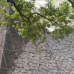 崩落していた熊本城の北十八間櫓の石垣。